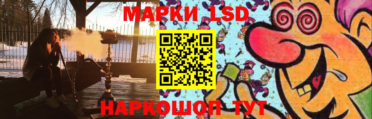 Лсд 25 экстази ecstasy  Вход с VPN  Бердск  ЛСД экстази ecstasy 