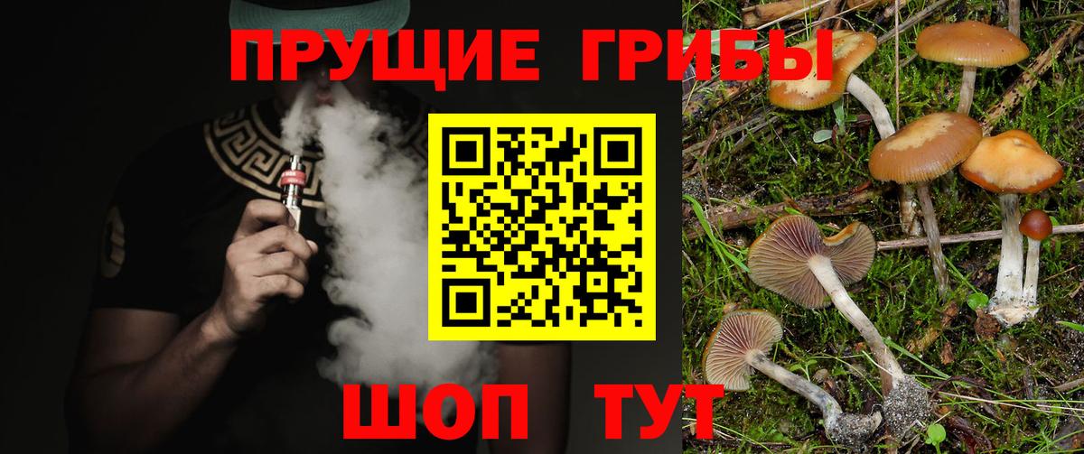 Бердск  Галлюциногенные грибы мицелий  Вход с VPN 